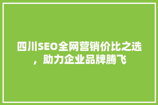 四川SEO全网营销价比之选，助力企业品牌腾飞