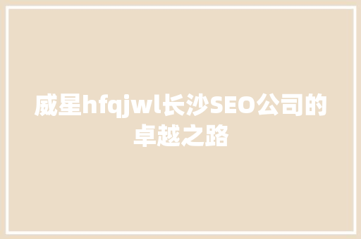 威星hfqjwl长沙SEO公司的卓越之路