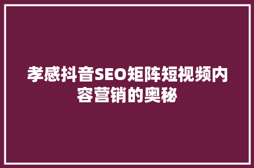 孝感抖音SEO矩阵短视频内容营销的奥秘
