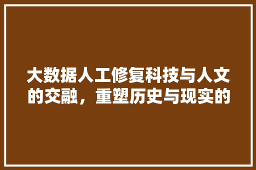 大数据人工修复科技与人文的交融，重塑历史与现实的桥梁  第1张
