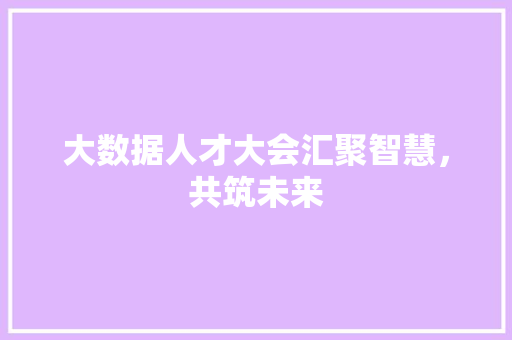 大数据人才大会汇聚智慧，共筑未来  第1张