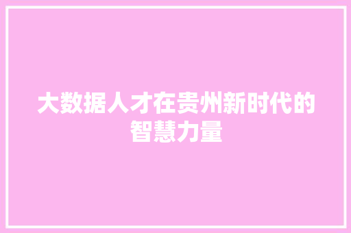 大数据人才在贵州新时代的智慧力量  第1张