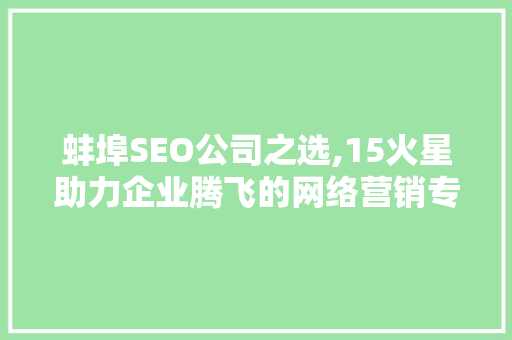蚌埠SEO公司之选,15火星助力企业腾飞的网络营销专家