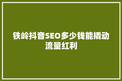 铁岭抖音SEO多少钱能撬动流量红利