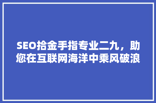 SEO拾金手指专业二九，助您在互联网海洋中乘风破浪  第1张