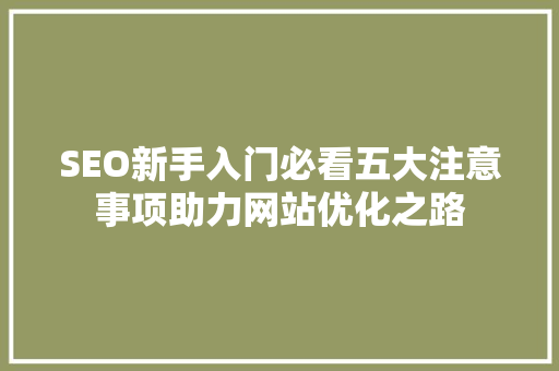 SEO新手入门必看五大注意事项助力网站优化之路