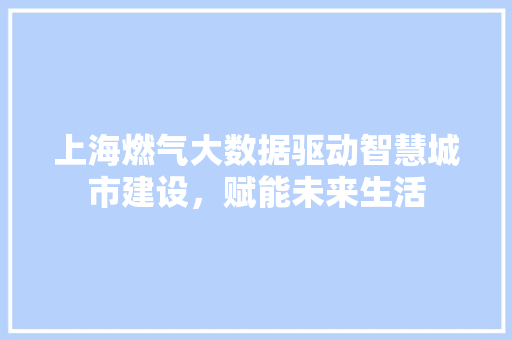 上海燃气大数据驱动智慧城市建设，赋能未来生活