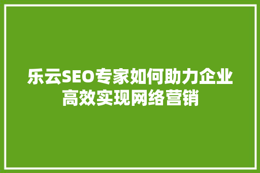 乐云SEO专家如何助力企业高效实现网络营销