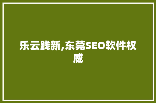 乐云践新,东莞SEO软件权威