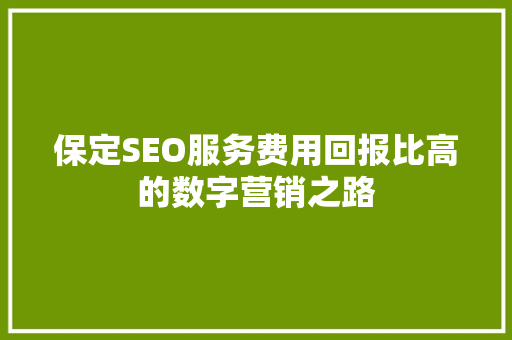 保定SEO服务费用回报比高的数字营销之路