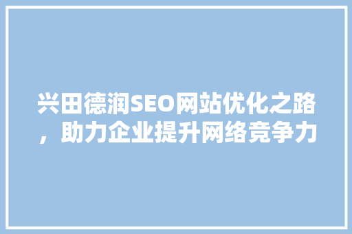 兴田德润SEO网站优化之路，助力企业提升网络竞争力