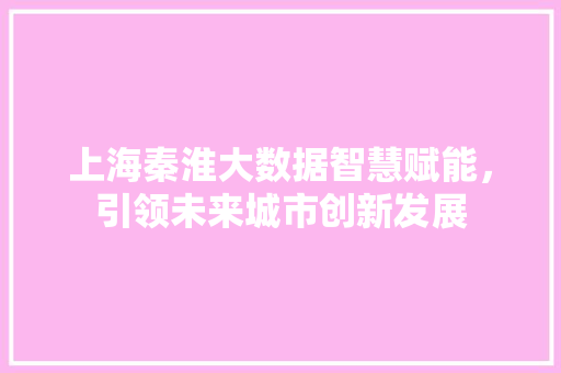 上海秦淮大数据智慧赋能，引领未来城市创新发展