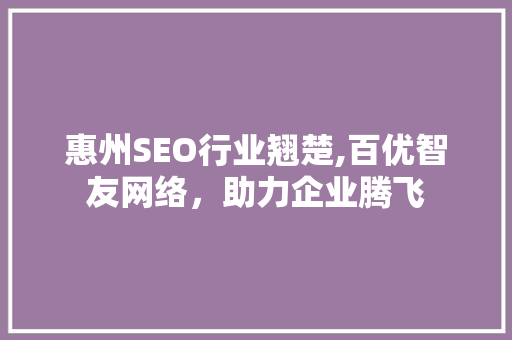 惠州SEO行业翘楚,百优智友网络，助力企业腾飞