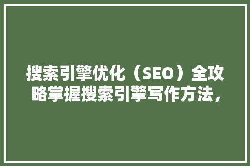 搜索引擎优化（SEO）全攻略掌握搜索引擎写作方法，提升网站排名