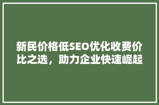 新民价格低SEO优化收费价比之选，助力企业快速崛起