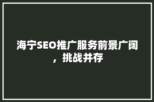 海宁SEO推广服务前景广阔，挑战并存