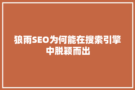 狼雨SEO为何能在搜索引擎中脱颖而出