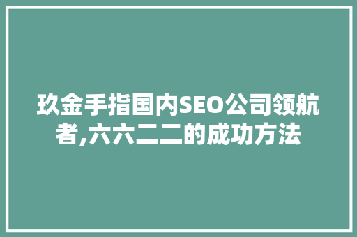 玖金手指国内SEO公司领航者,六六二二的成功方法