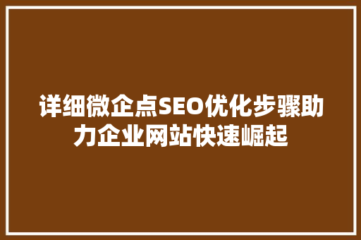 详细微企点SEO优化步骤助力企业网站快速崛起