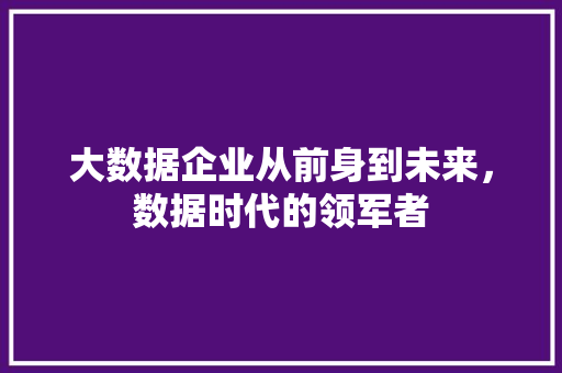 大数据企业从前身到未来，数据时代的领军者  第1张