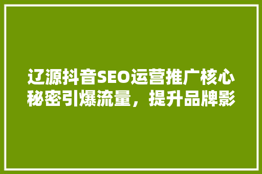 辽源抖音SEO运营推广核心秘密引爆流量，提升品牌影响力