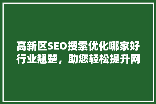 高新区SEO搜索优化哪家好行业翘楚，助您轻松提升网站排名
