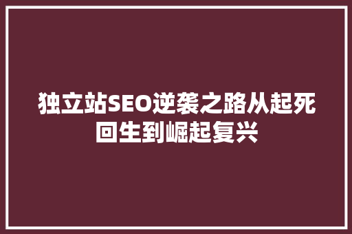 独立站SEO逆袭之路从起死回生到崛起复兴