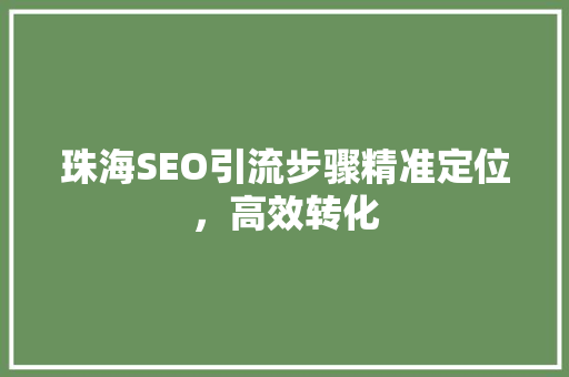 珠海SEO引流步骤精准定位，高效转化