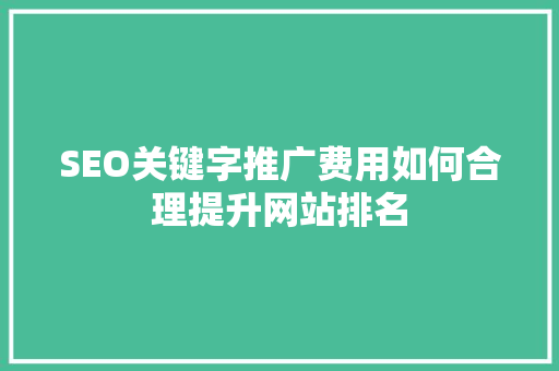 SEO关键字推广费用如何合理提升网站排名