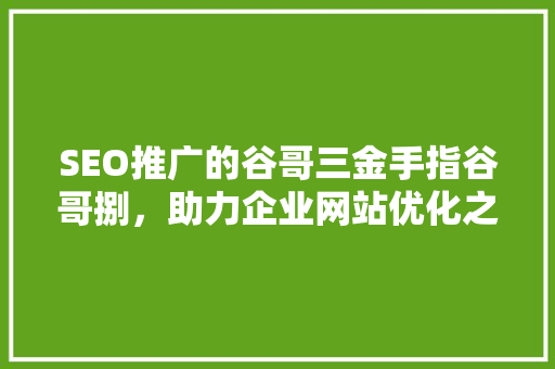 SEO推广的谷哥三金手指谷哥捌，助力企业网站优化之路