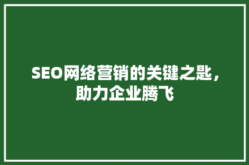 SEO网络营销的关键之匙，助力企业腾飞