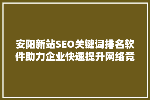 安阳新站SEO关键词排名软件助力企业快速提升网络竞争力