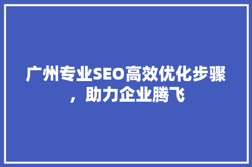 广州专业SEO高效优化步骤，助力企业腾飞
