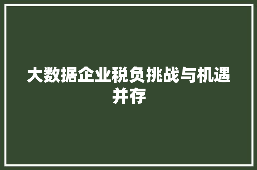 大数据企业税负挑战与机遇并存