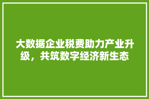 大数据企业税费助力产业升级，共筑数字经济新生态