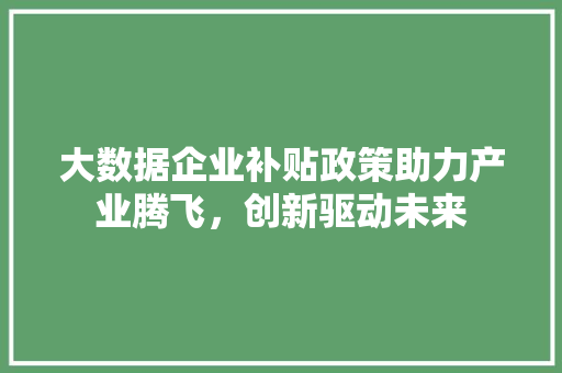 大数据企业补贴政策助力产业腾飞，创新驱动未来  第1张