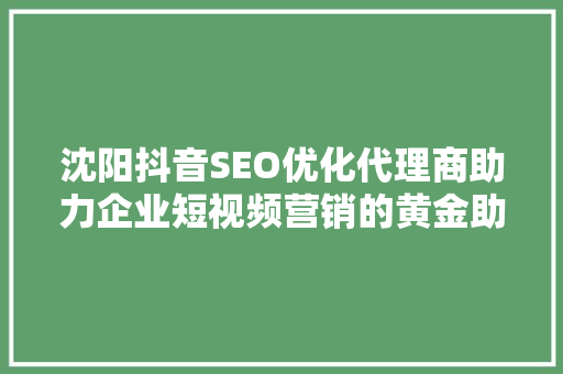 沈阳抖音SEO优化代理商助力企业短视频营销的黄金助手