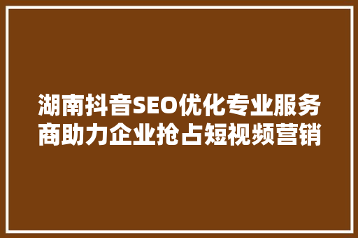 湖南抖音SEO优化专业服务商助力企业抢占短视频营销高地