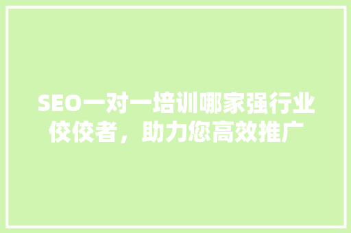 SEO一对一培训哪家强行业佼佼者，助力您高效推广