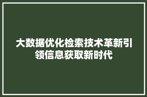 大数据优化检索技术革新引领信息获取新时代  第1张
