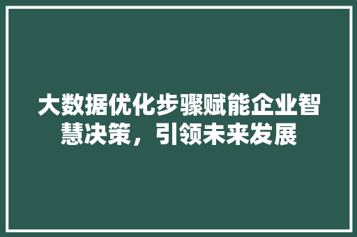 大数据优化步骤赋能企业智慧决策，引领未来发展  第1张