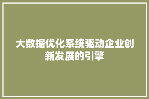 大数据优化系统驱动企业创新发展的引擎