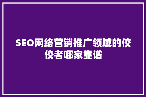 SEO网络营销推广领域的佼佼者哪家靠谱