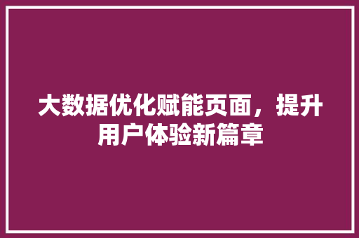 大数据优化赋能页面，提升用户体验新篇章  第1张