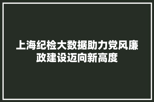 上海纪检大数据助力党风廉政建设迈向新高度