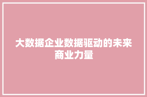 大数据企业数据驱动的未来商业力量  第1张