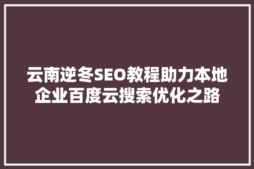 云南逆冬SEO教程助力本地企业百度云搜索优化之路