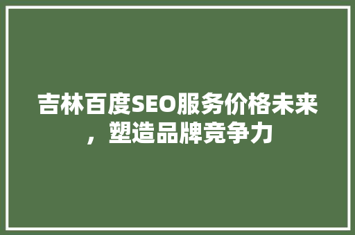 吉林百度SEO服务价格未来，塑造品牌竞争力