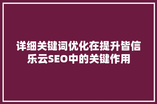 详细关键词优化在提升皆信乐云SEO中的关键作用