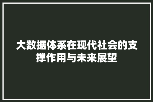 大数据体系在现代社会的支撑作用与未来展望